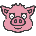 Pig