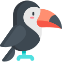 toucan