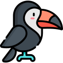 toucan