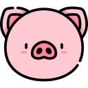 Pig