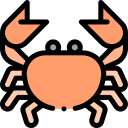 krab