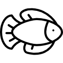 魚