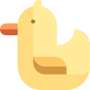 canard