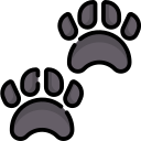 Paw print