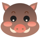 Boar