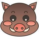 Boar