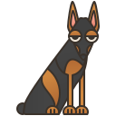 Doberman