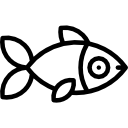 fisch