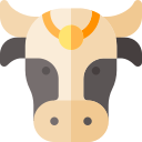 vache