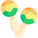 maracas