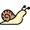 Caracol