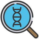 Dna structure