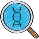 Dna structure