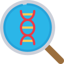 Dna structure