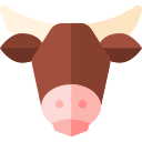 vache