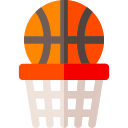 pallacanestro