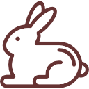 lapin