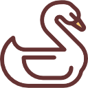 Swan