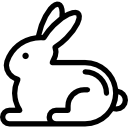 lapin