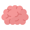 Brain