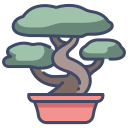 bonsai