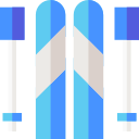 ski