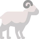 Ram