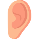 Ear