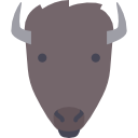 bison