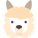 lama