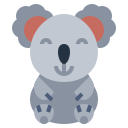 koala