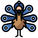 pfau