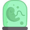 embryo