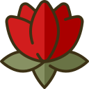 lotus