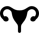 Uterus