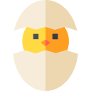 Chick