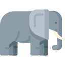 elefante