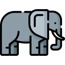 elefante