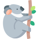 koala