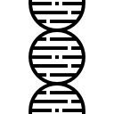 dna