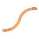 Worm