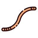 Worm