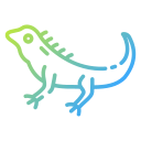 iguana