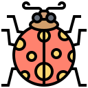 Ladybug