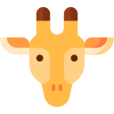 giraffa