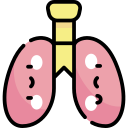 Lungs