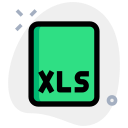 Xls file format