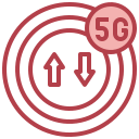 5 g