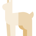 Alpaca