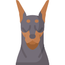 Doberman